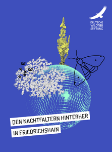Nachtschwärmer-Rallye in Friedrichshain