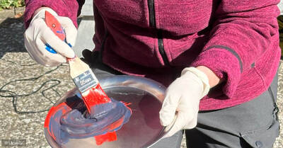 »Wir machen unseren Garten hübsch fürs Sommerfest!« – Garten...