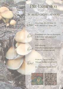 Pilzwanderung, Pilzexkursion, Berlin-Schulzendorf
