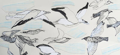 Linus der Wikinger Hanneke van der Hoeven