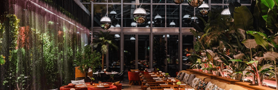 MNFST x DNA. Words to Life