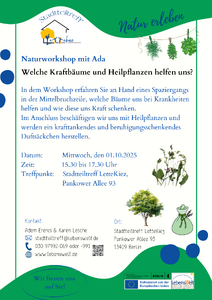 Natur-Workshop des Stadtteiltreff LetteKiez - Kraftbäume und...