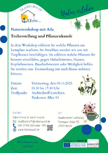 Natur-Workshop des Stadtteiltreff LetteKiez - Pflanzenkunde ...