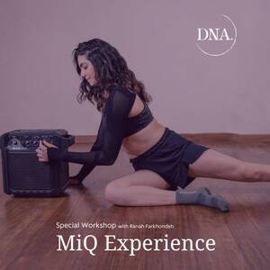 MiQ Experience - Special Workshop