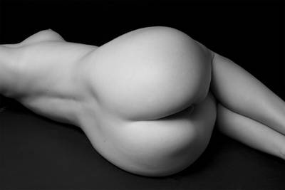 Die Aktgalerie / "Portfolios und Porträts - Sechs Aktfo...