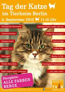 Tag der Katze - offene Türen im Tierheim Berlin