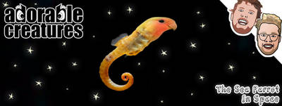 Adorable Creatures - The Sea Parrot in Space - English Comed...